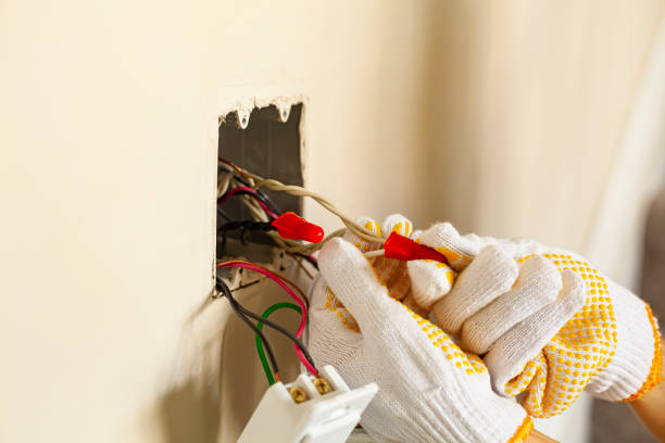 Best Electrical Panel Upgrades  in USA